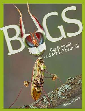 Bugs Big & Small: God Made Them All de William Zinke