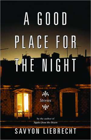 A Good Place for the Night – Stories de Savyon Liebrecht