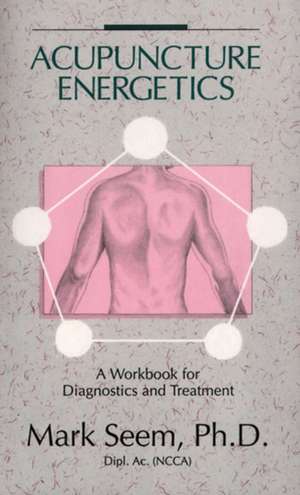 Acupuncture Energetics: A Workbook for Diagnostics and Treatment de Mark D. Seem