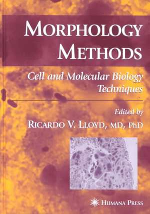 Morphology Methods: Cell and Molecular Biology Techniques de Ricardo V. Lloyd