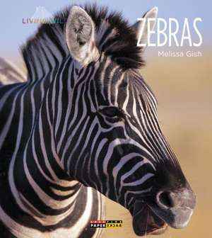 Zebras de Melissa Gish