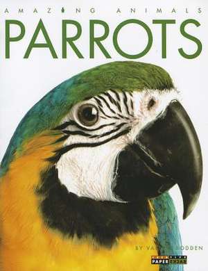 Parrots de Valerie Bodden