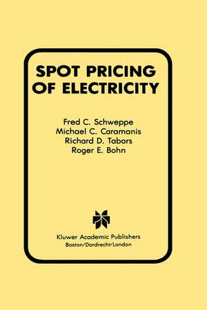 Spot Pricing of Electricity de Fred C. Schweppe