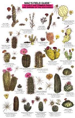 Cacti, Shrubs, Trees de Craig MacGowan