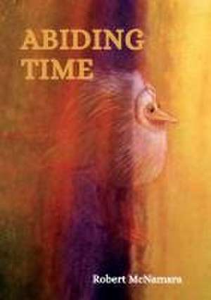 Abiding Time de Robert Mcnamara