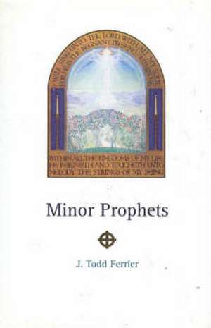 The Minor Prophets de John Todd Ferrier