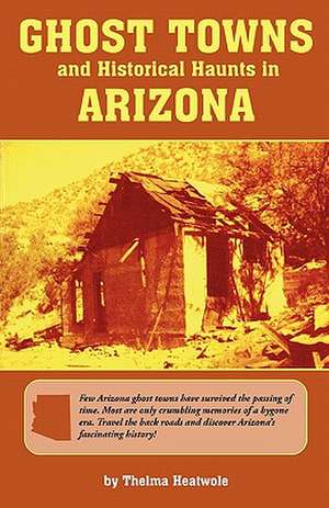 Ghost Towns & Historical Haunts in Arizona de Thelma Heatwole