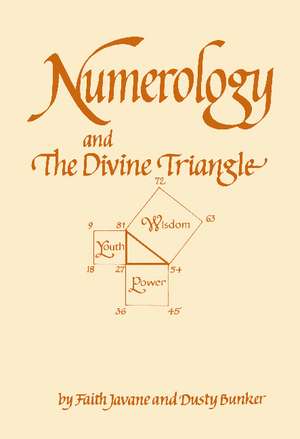 Numerology and the Divine Triangle de Faith Javane