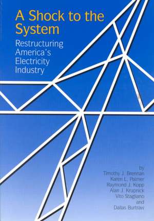 A Shock to the System: Restructuring America's Electricity Industry de Timothy J. Brennan