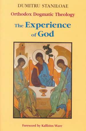 The Experience of God de Dumitru Staniloae