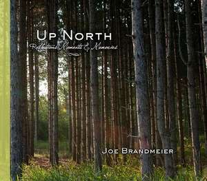 Up North: Reflections, Moments & Memories de Joe Brandmeier