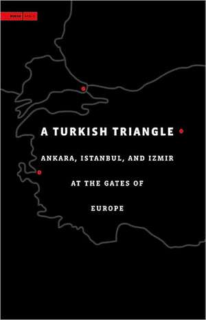 A Turkish Triangle – Ankara, Istanbul, and Izmir at the Gates of Europe de Hashim Sarkis