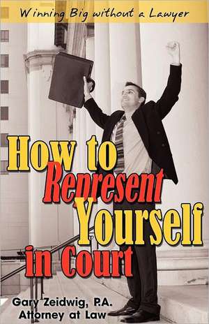 How to Represent Yourself in Court de Gary Zeidwig