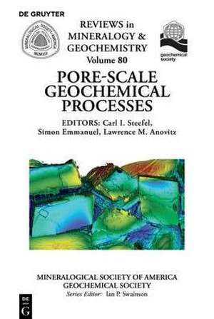 Pore Scale Geochemical Processes de Steefel