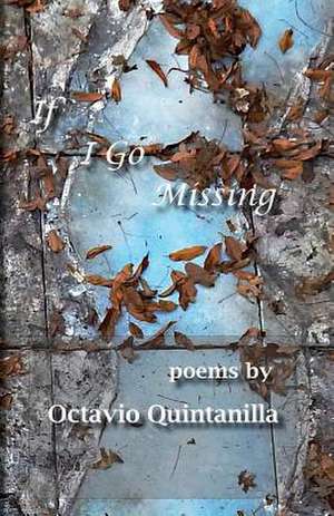 If I Go Missing de Octavio Quintanilla