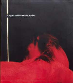 A Joyful Confusion de Victor Boullet