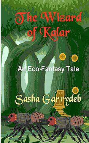 The Wizard of Kalar: Beyond the Gender Gap? de Sasha Garrydeb