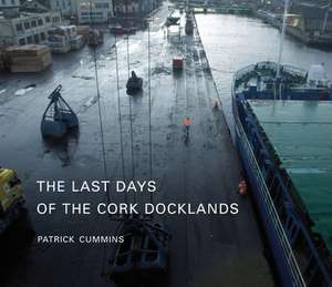 The Last Days of the Cork Docklands de Patrick Cummins