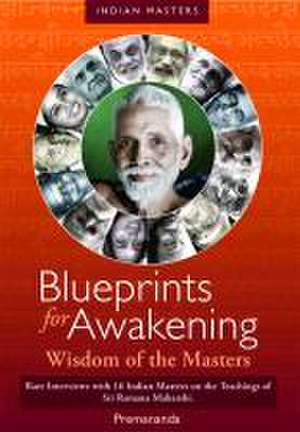 Blueprints for Awakening -- Wisdom of the Masters DVD: Rare Interviews with 16 Indian Masters on the Teachings of Sri Ramana Maharshi de John David