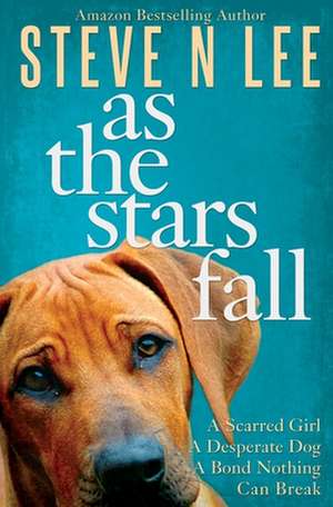 As The Stars Fall de Steve N Lee