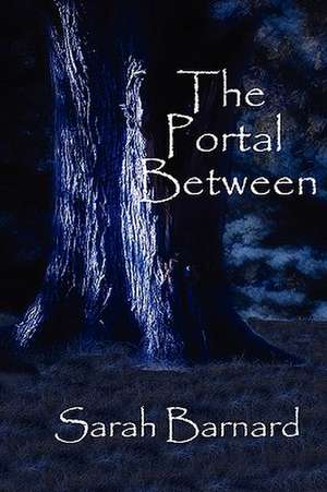 The Portal Between de Sarah Barnard