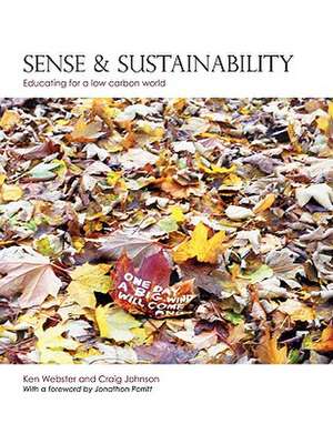 Sense and Sustainability de Ken Webster