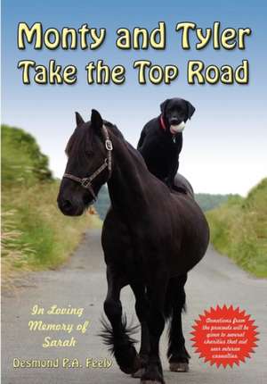 Monty and Tyler Take the Top Road de Desmond P. A. Feely