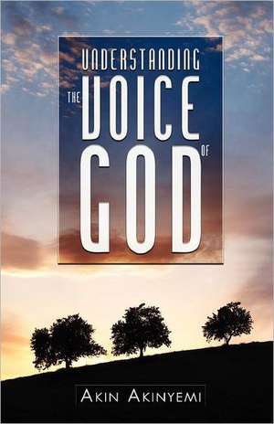 Understanding the Voice of God de Akin Akinyemi