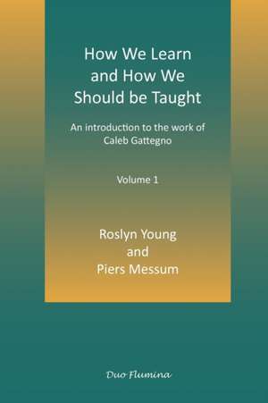 How We Learn and How We Should Be Taught de Roslyn Young