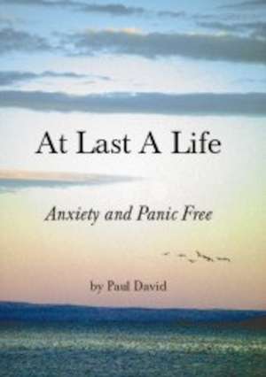 At Last a Life de Paul David