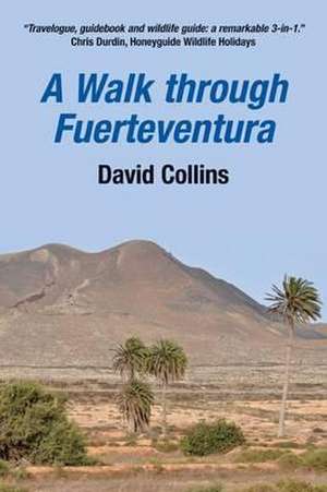 A Walk Through Fuerteventura de David Collins