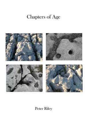 Chapters of Age de Peter Riley