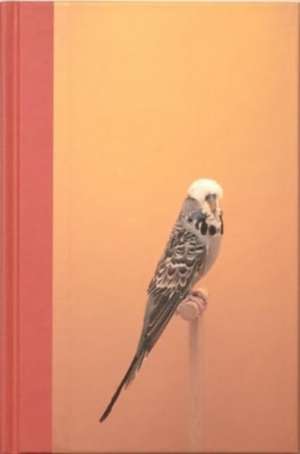 An Incomplete Dictionary of Show Birds de Luke Stephenson