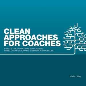 Clean Approaches for Coaches de Marian Way