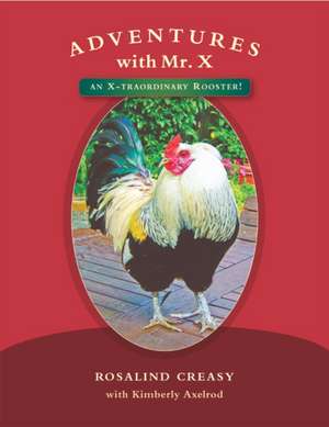 Adventures with Mr. X de Rosalind Creasy