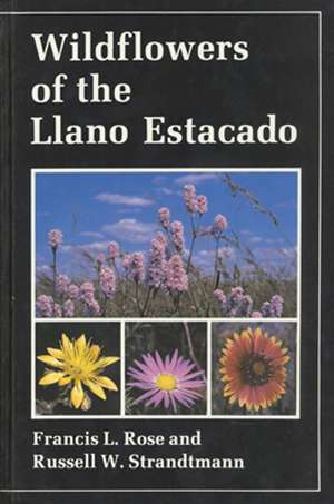 Wildflowers of the Llano Estacado de Francis L. Rose