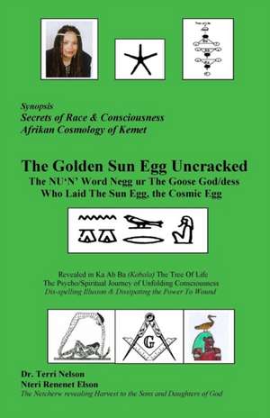 The Golden Sun Egg Uncracked The NU'N' Word Negg ur de Terri R Nelson