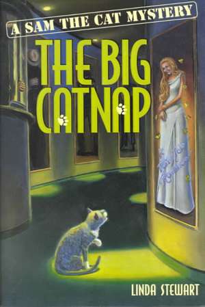 The Big Catnap de Linda Stewart