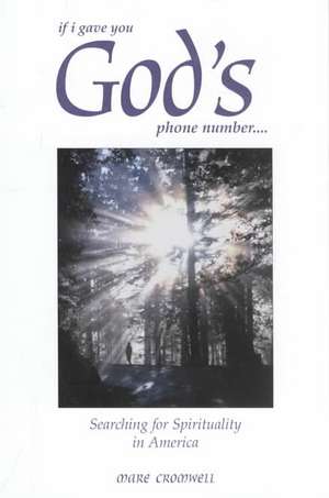 If I Gave You God's Phone Number....: Searching for Spirituality in America de Mare Cromwell