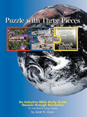 Puzzle with Three Pieces de Janet N. Davis