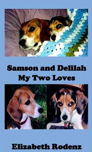 Samson and Delilah de Elizabeth Rodenz