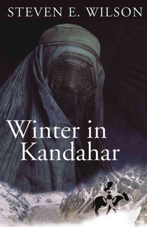 Winter in Kandahar de Steven E. Wilson