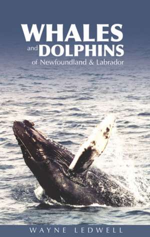 Whales & Dolphins of Newfoundland & Labrador de Wayne Ledwell