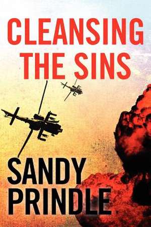 Cleansing the Sins de Sandy Prindle