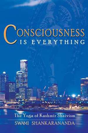 Consciousness Is Everything