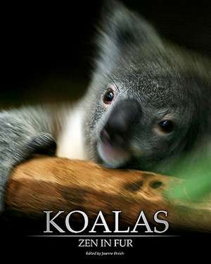 Koalas: Zen in Fur de Joanne Ehrich