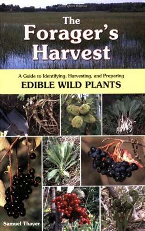 The Forager's Harvest: A Guide to Identifying, Harvesting, and Preparing Edible Wild Plants de Samuel Thayer