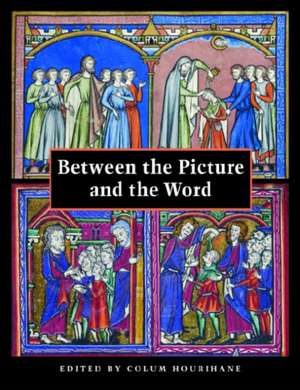 Between the Picture and the Word – Essays in Commemoration of John Plummer de Colum Hourihane