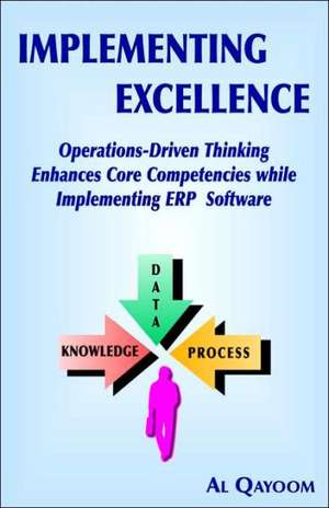 Implementing Excellence de Al Qayoom