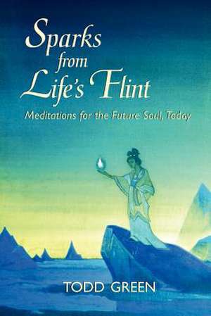 Sparks from Life's Flint--Meditations for the Future Soul, Today de Todd Green